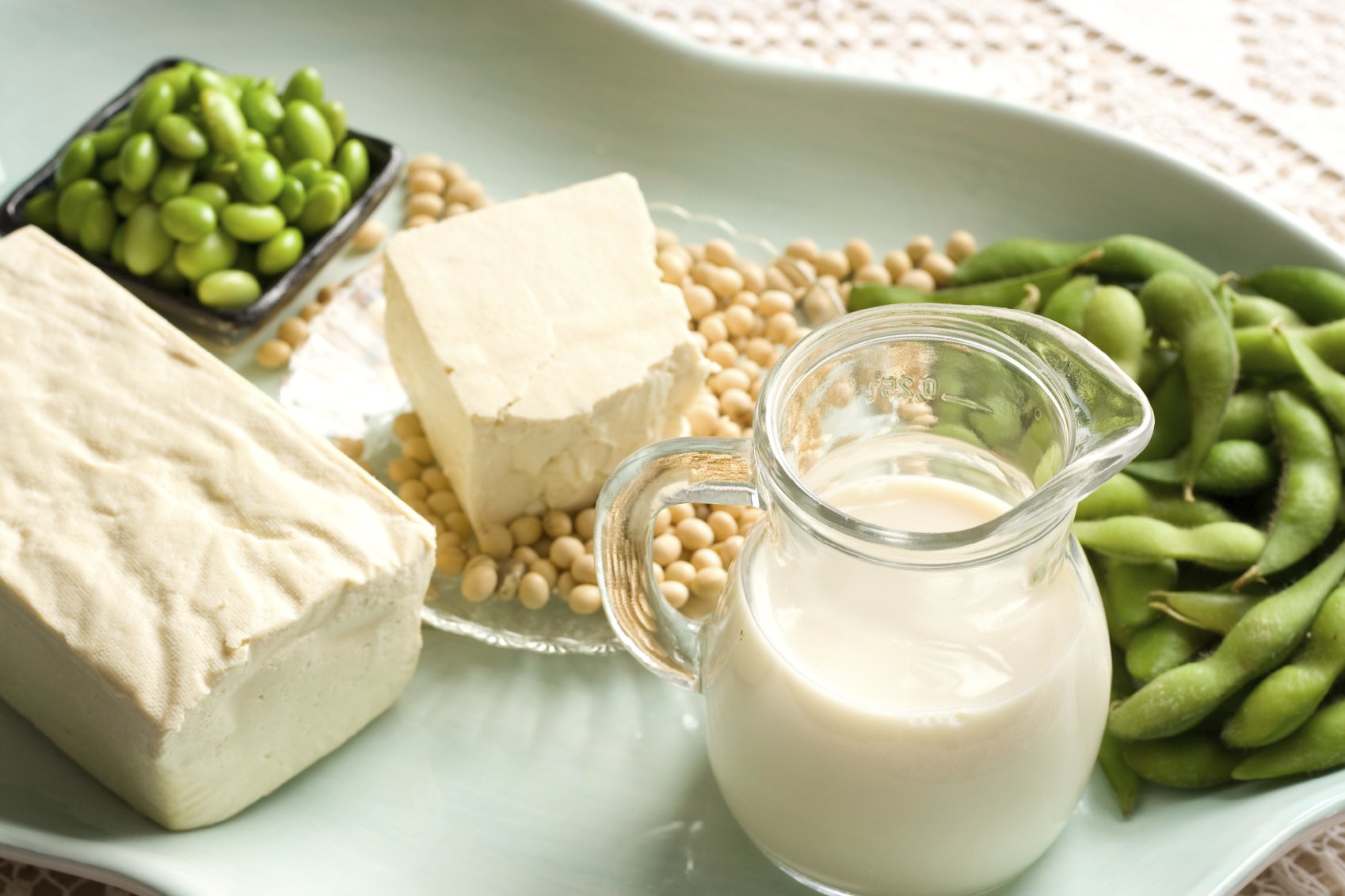 Soy Products with soybean pods, tofu, milk on serving dish