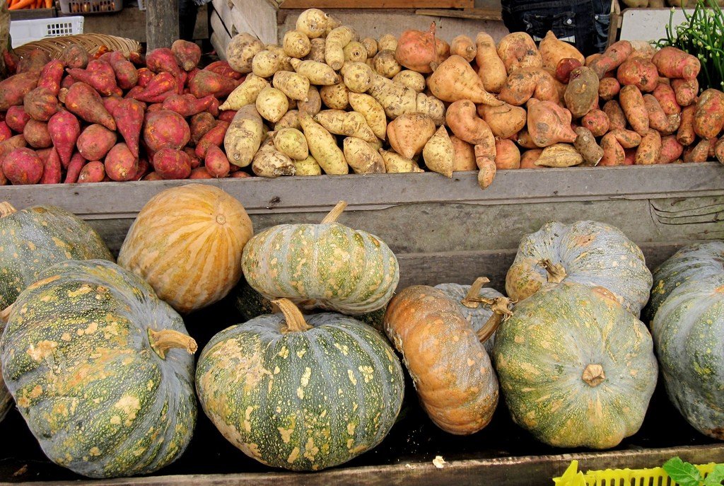 Pumpkins and sweet potatoes in a cancer prevention diet