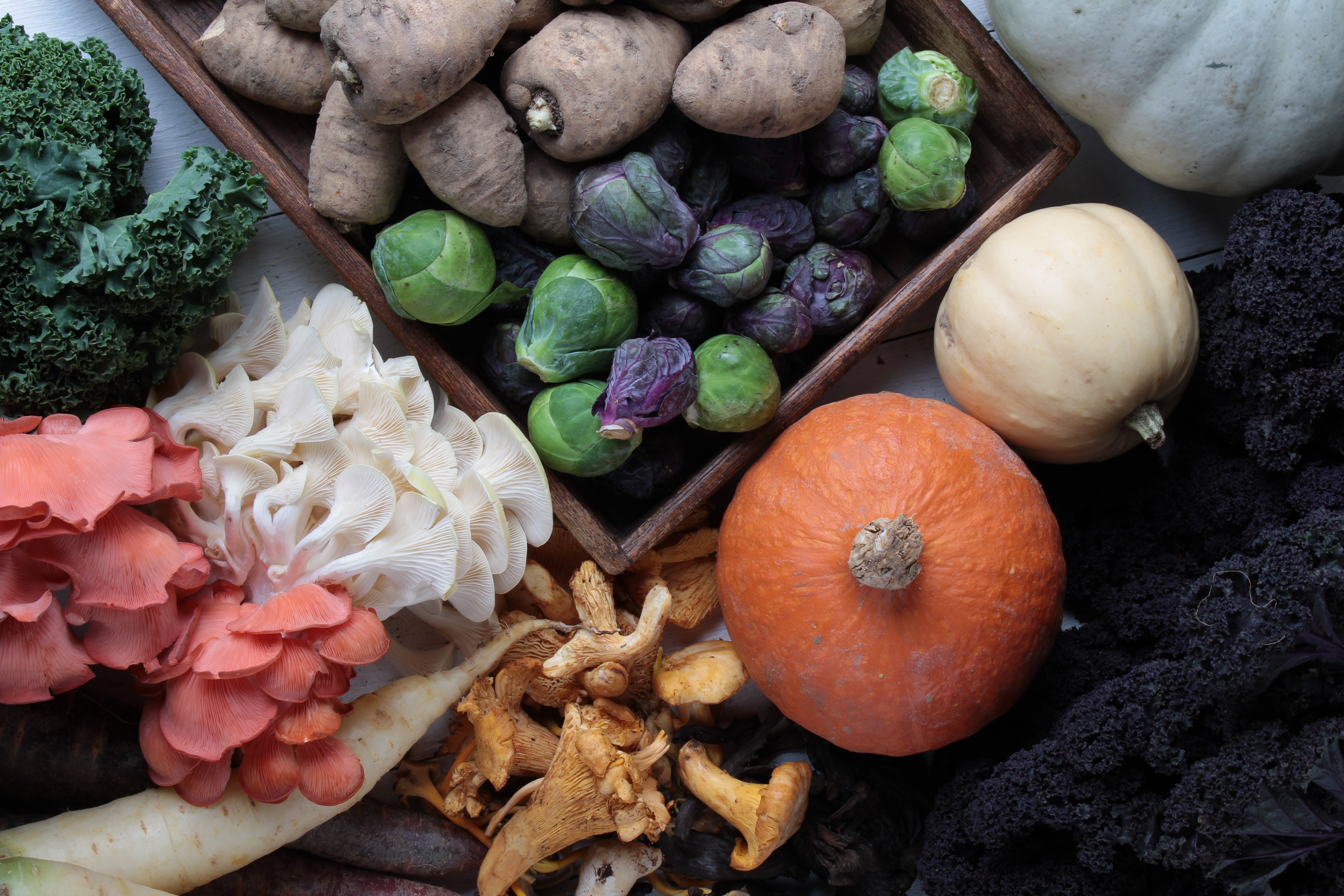 mixed seasonal vegetables including wild mushrooms
