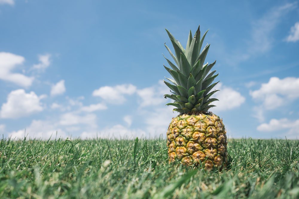 pineapple image by unsplash
